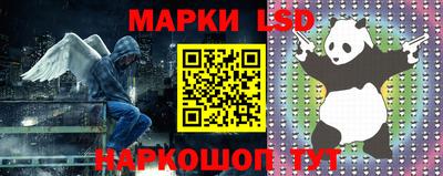 a pvp Краснокаменск