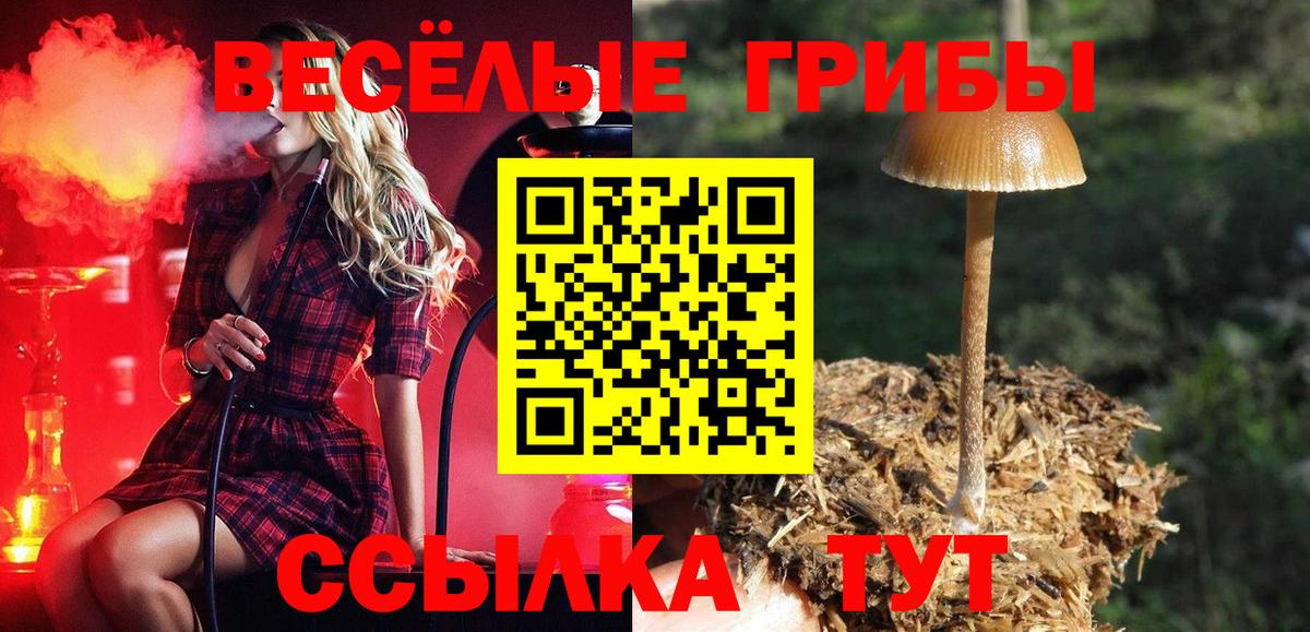 Псилоцибиновые грибы мухоморы  Вход с VPN  Азов 