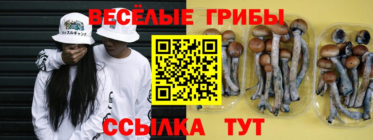 Галлюциногенные грибы GOLDEN TEACHER Азов